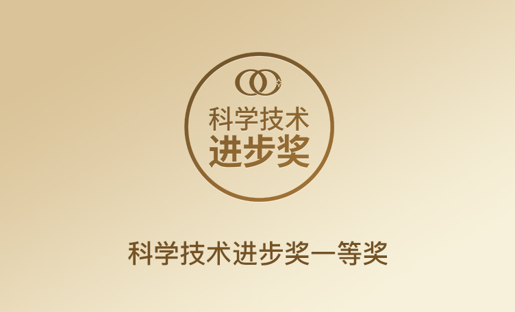 轻工联科技前进一等奖